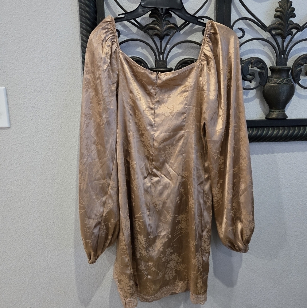Golden Champange Balloon Long Sleeve Dress - Picture 6 of 7